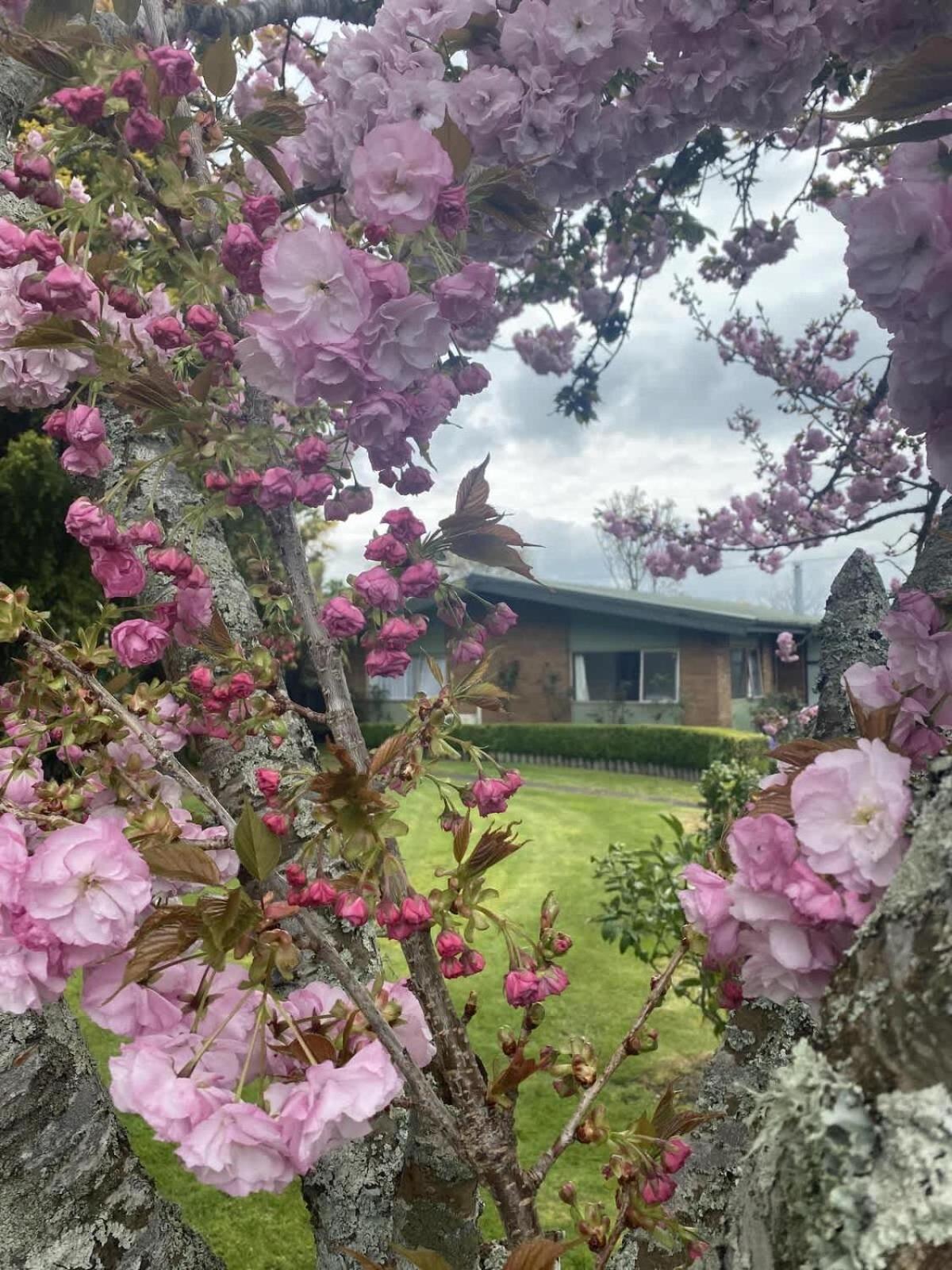 Roselake Retreat Роторуа Екстер'єр фото